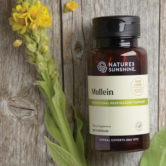 Nature's Sunshine Mullein - 100 Capsules