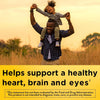 Nature Made Omega 3 Fish Oil 1200 mg, Brain and Eyes Support, One Per Day, Omega 3 Supplement with 100 Softgels