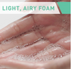 CeraVe Foaming Face Wash Facial Cleanser